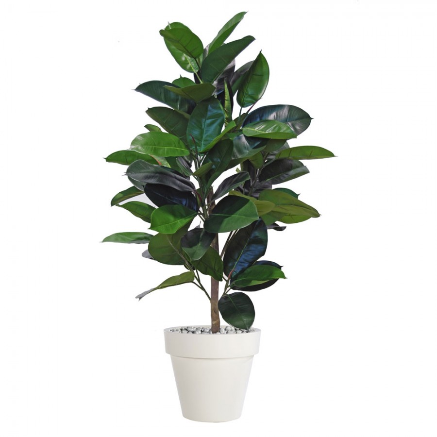 Planta semi-artificiala Ila, Ficus Elastica Plant Green - 120 cm